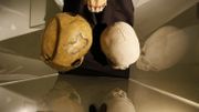 Musées et institutions scientifiques : les restes humains acquis dans le contexte colonial doivent être restitués, selon le comité de bioéthique
