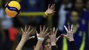Coronavirus - Le volley belge à l'arrêt, les tickets européens décernés fin mars Coronavirus - Le volley belge à l'arrêt, les tickets européens décernés fin mars