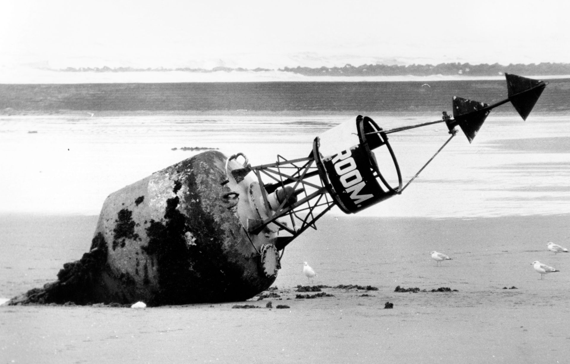 Meteo Marine Baie De Somme Frontiere Belge