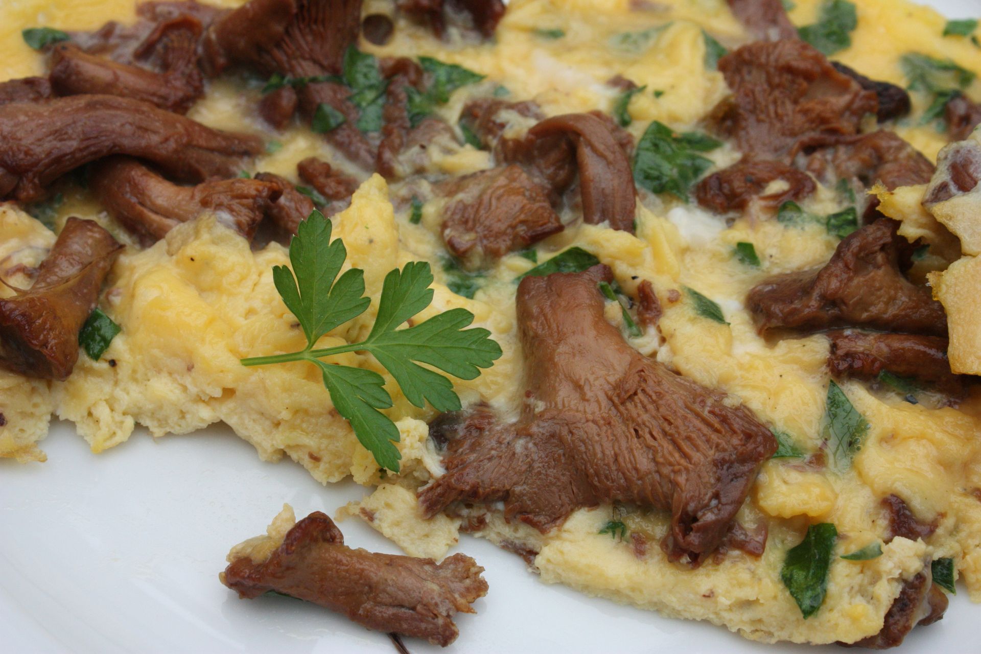 Recette Omelette aux girolles