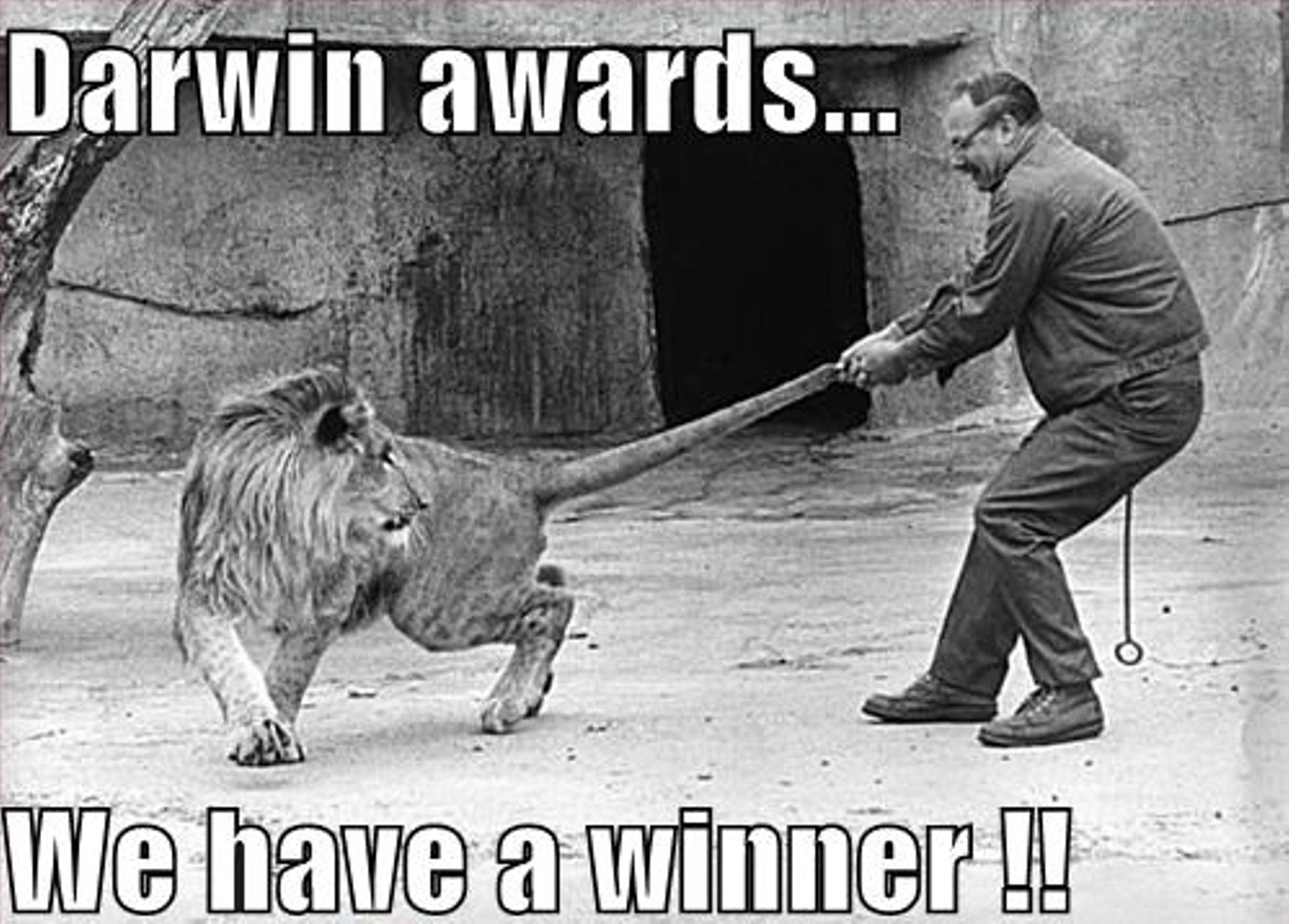 Darwin awards memes