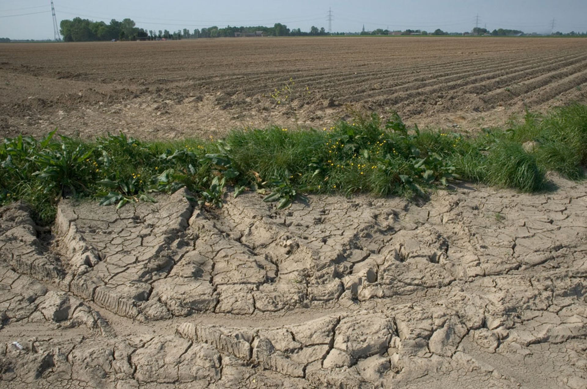 Sécheresse : La Province De Flandre Occidentale étend L'interdiction Du ...