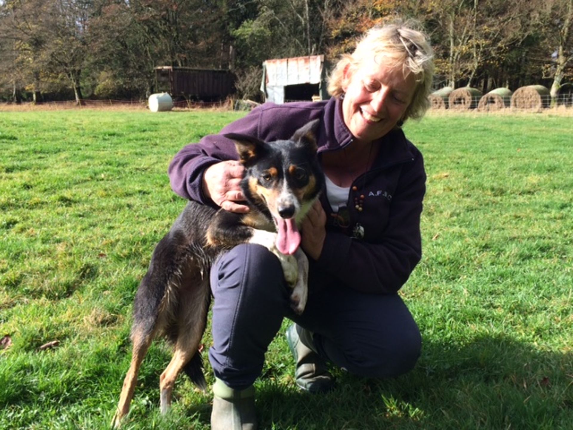 Concours De Chiens De Berger A Jalhay Nathalie Et Dot Y Seront