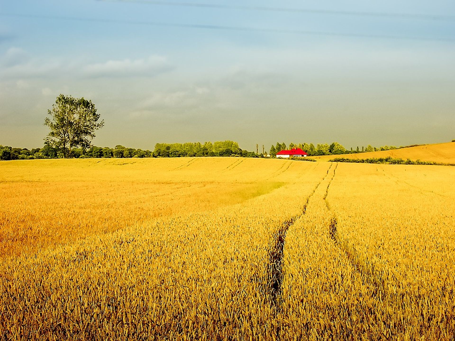 « La propriété des terres agricoles n'a pas de sens, c'est un bien