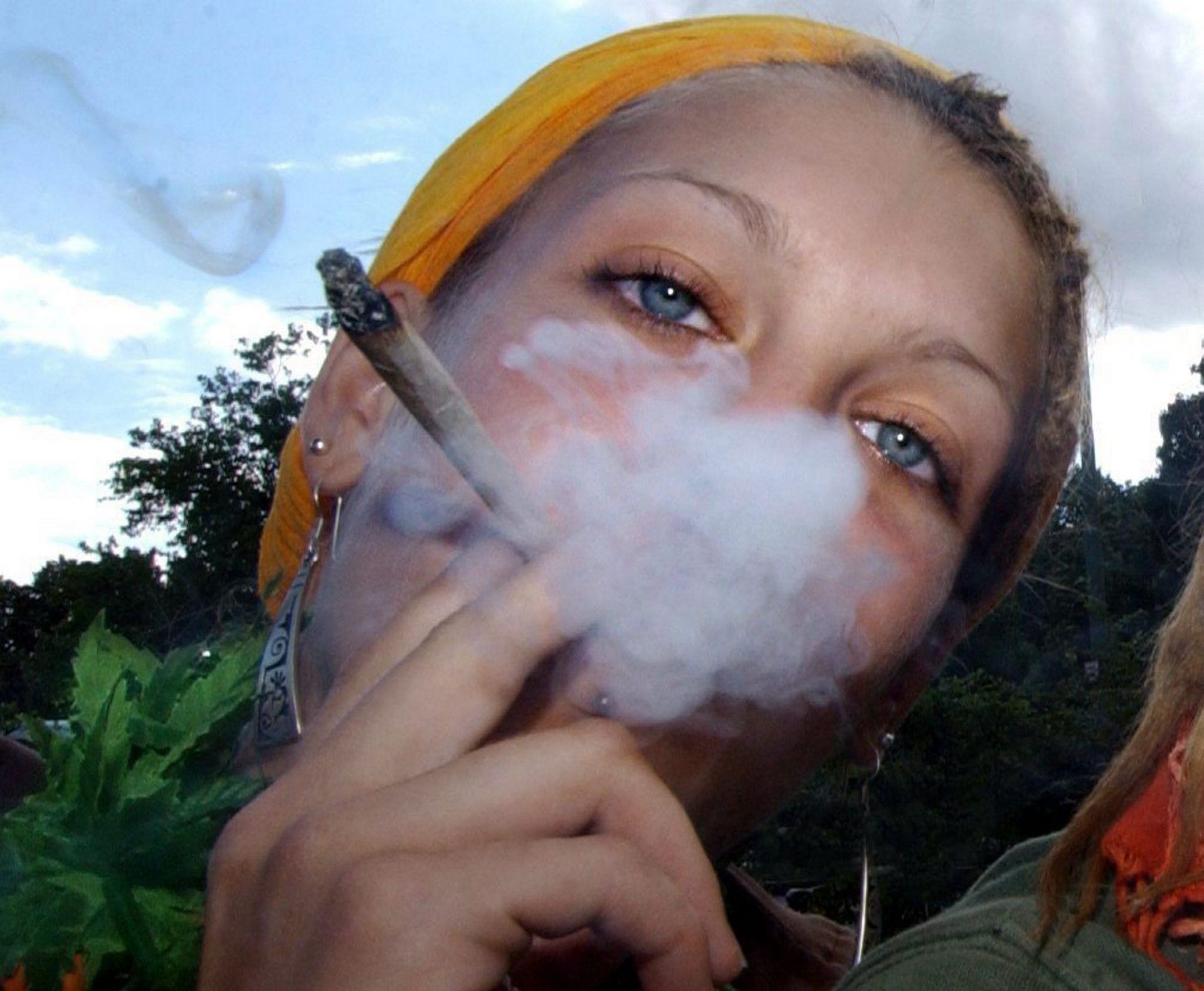 Cannabis Pourquoi L Etat Ne Veut Il Pas De Cette Manne Relisez Le Chat
