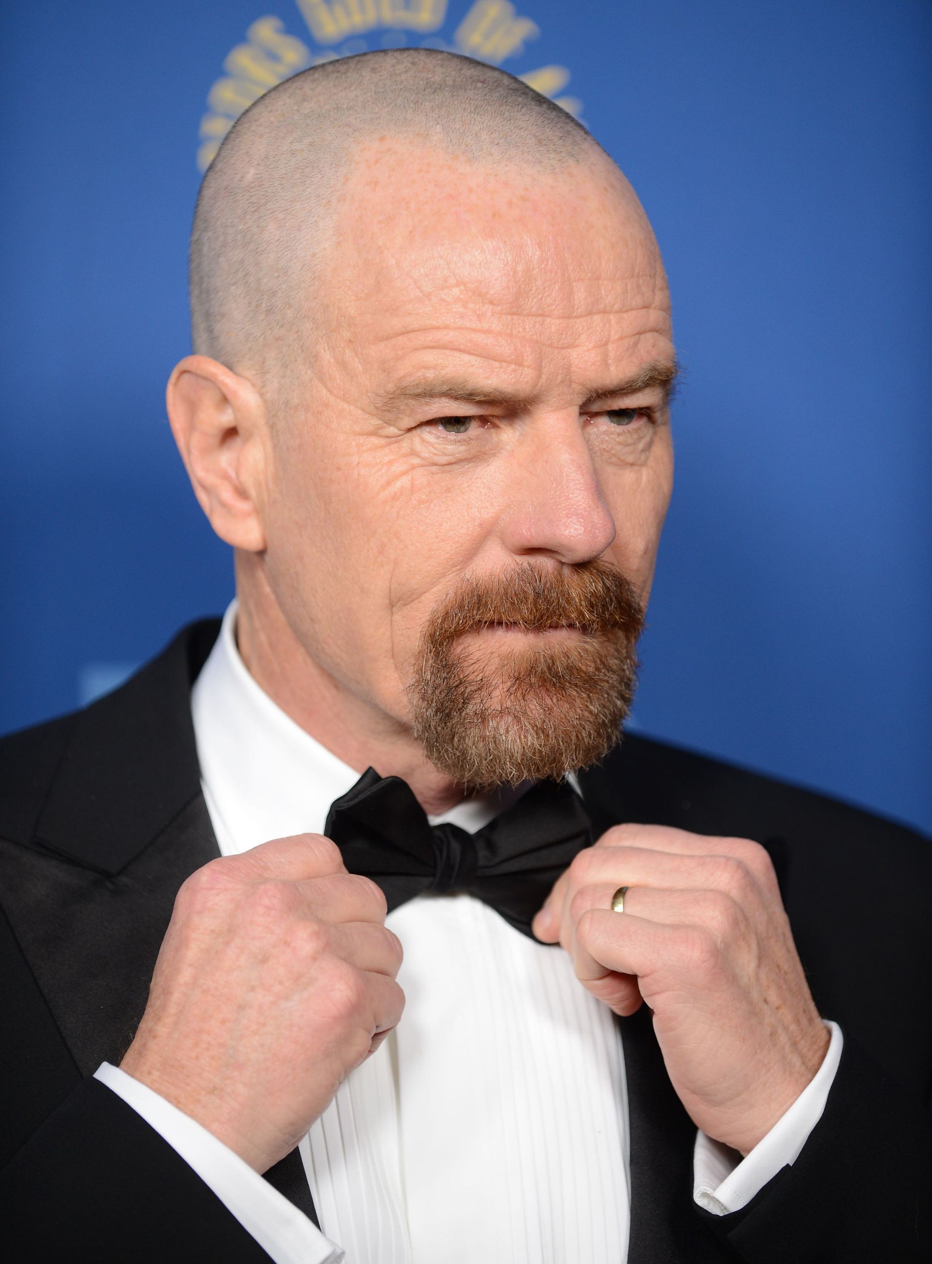 Golden Globe Du Meilleur Acteur Dans Une Série Télévisée Dramatique Golden Globes 2014 : Bryan Cranston, meilleure acteur dans une série