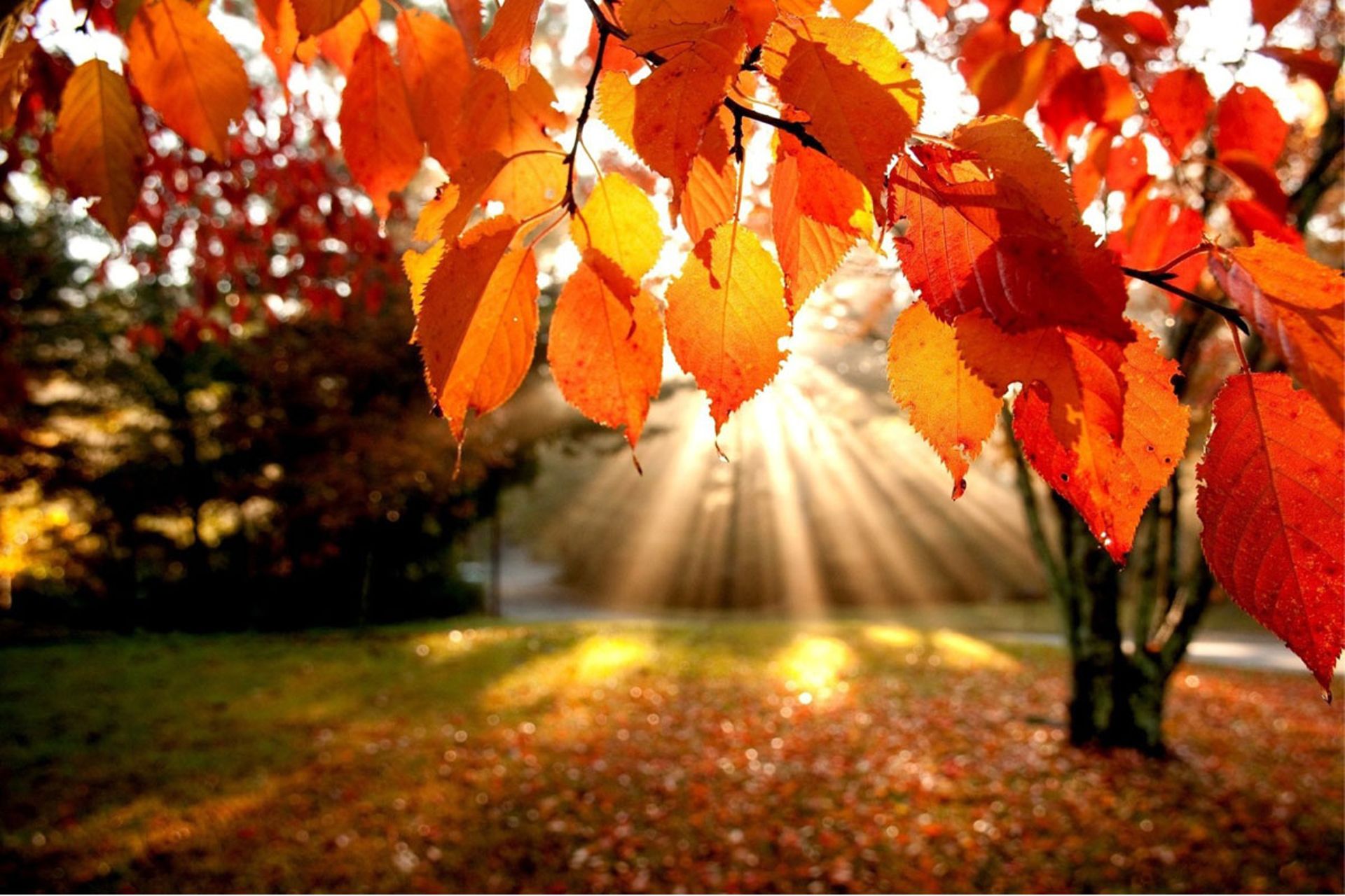 Météo De Ce Week-end: Début D'automne En Douceur