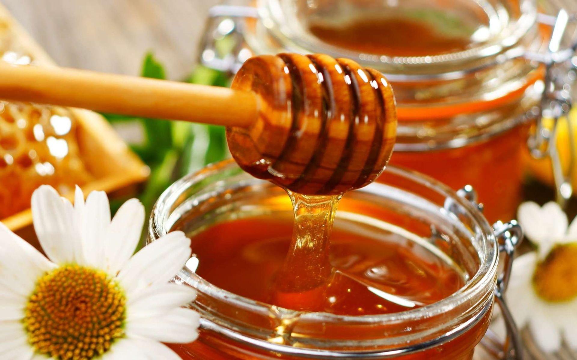 Voici pourquoi les abeilles n