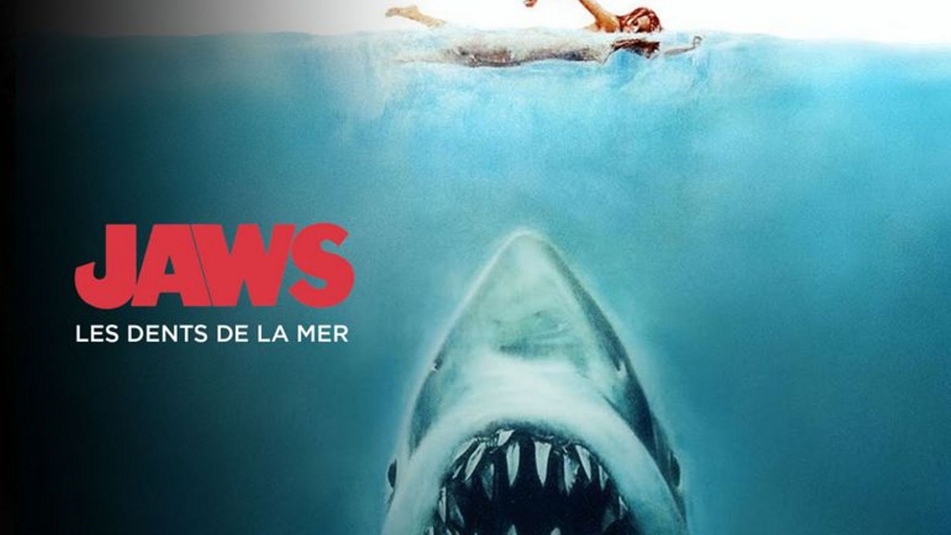 Les Dents De La Mer Gratuit Confinement : Une scène du film “Les dents de la mer” suscite un regain