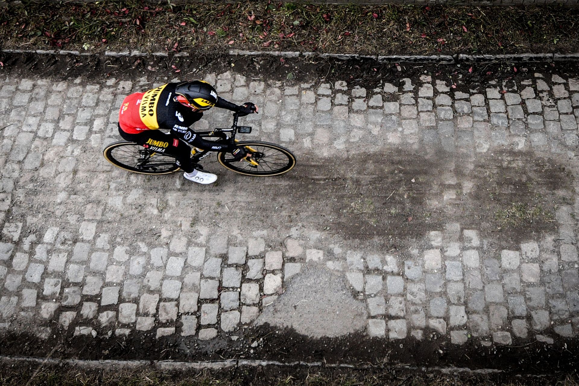 vans grises y granates