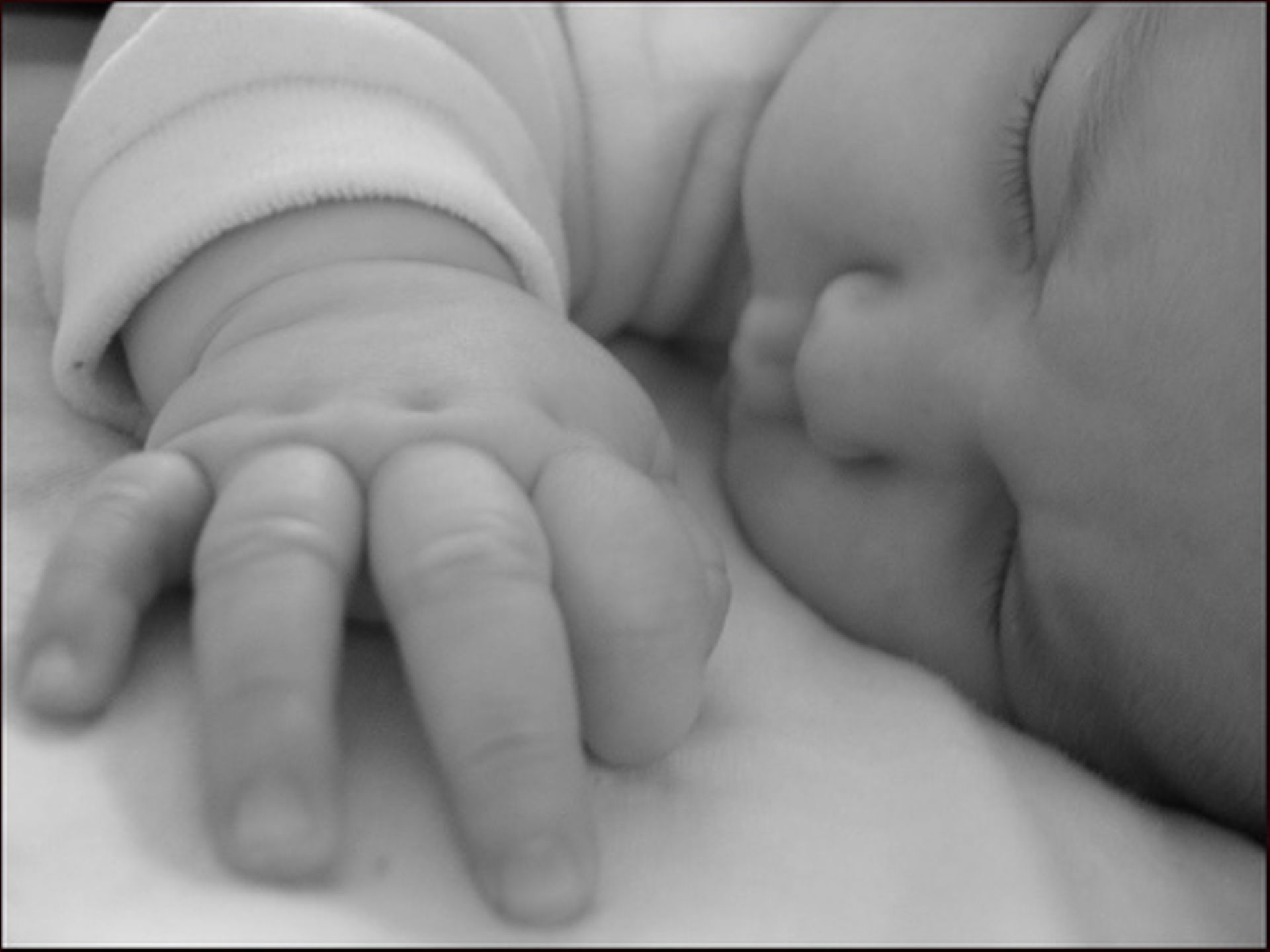 Semaine Bio Le Marche Pour Bebe En Plein Essor Semaine Bio Le Marche Pour Bebe En Plein Essor