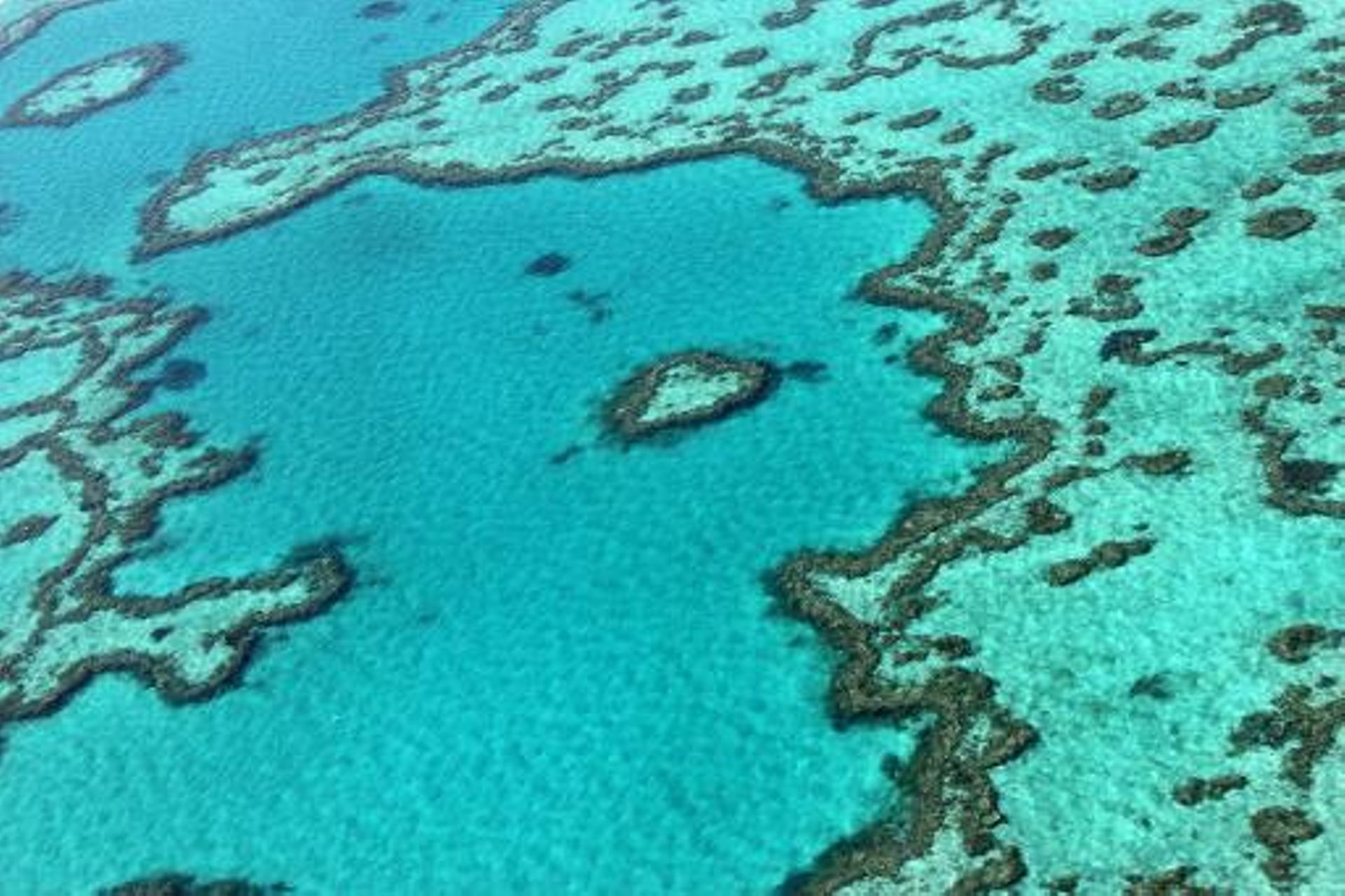 Australie 35 ans pour préserver la Grande barrière de corail Australie 35 ans pour préserver la Grande barrière de corail