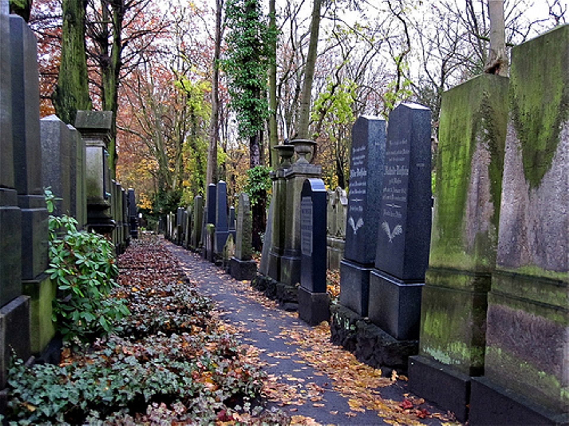 5 lettres sur les tombes cimetiere juif