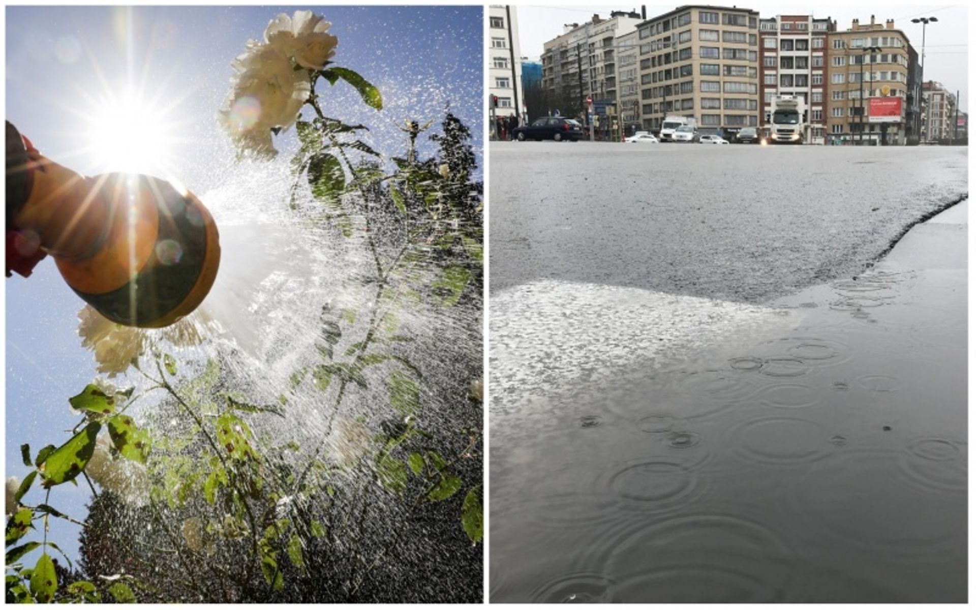 Marre De La Pluie L Hiver Aura Au Moins Combattu La Secheresse