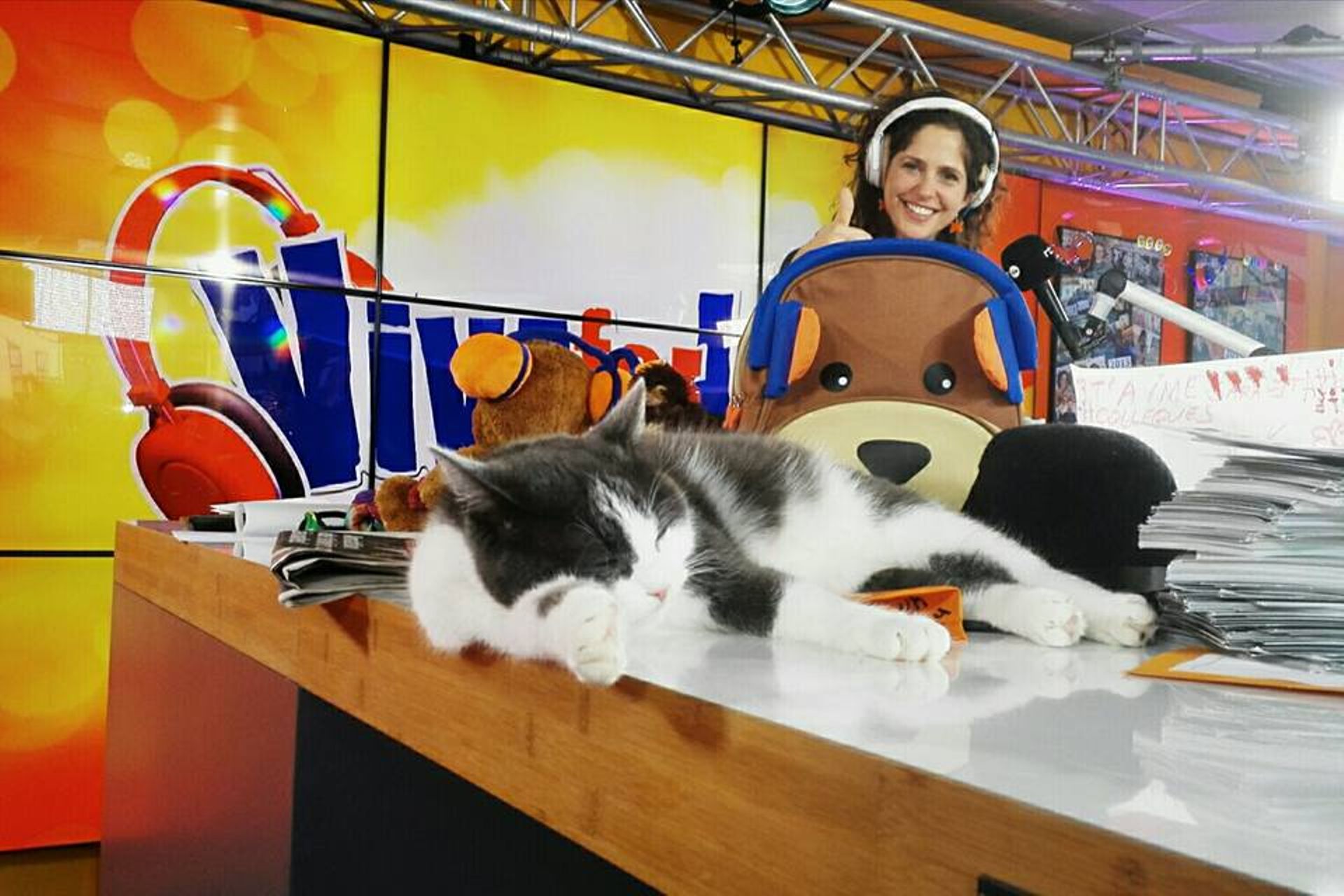 Le Ronronnement Chez Le Chat