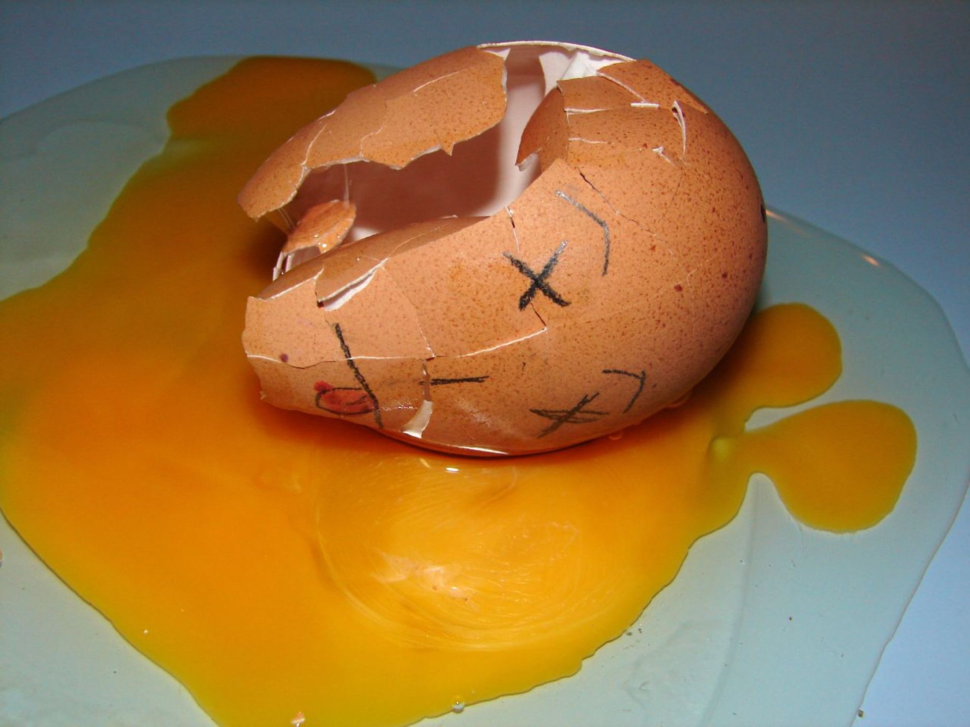 On Ne Fait Pas D'omelette Sans Casser La chronique européenne: on ne fait pas d'omelette sans casser des oeufs...