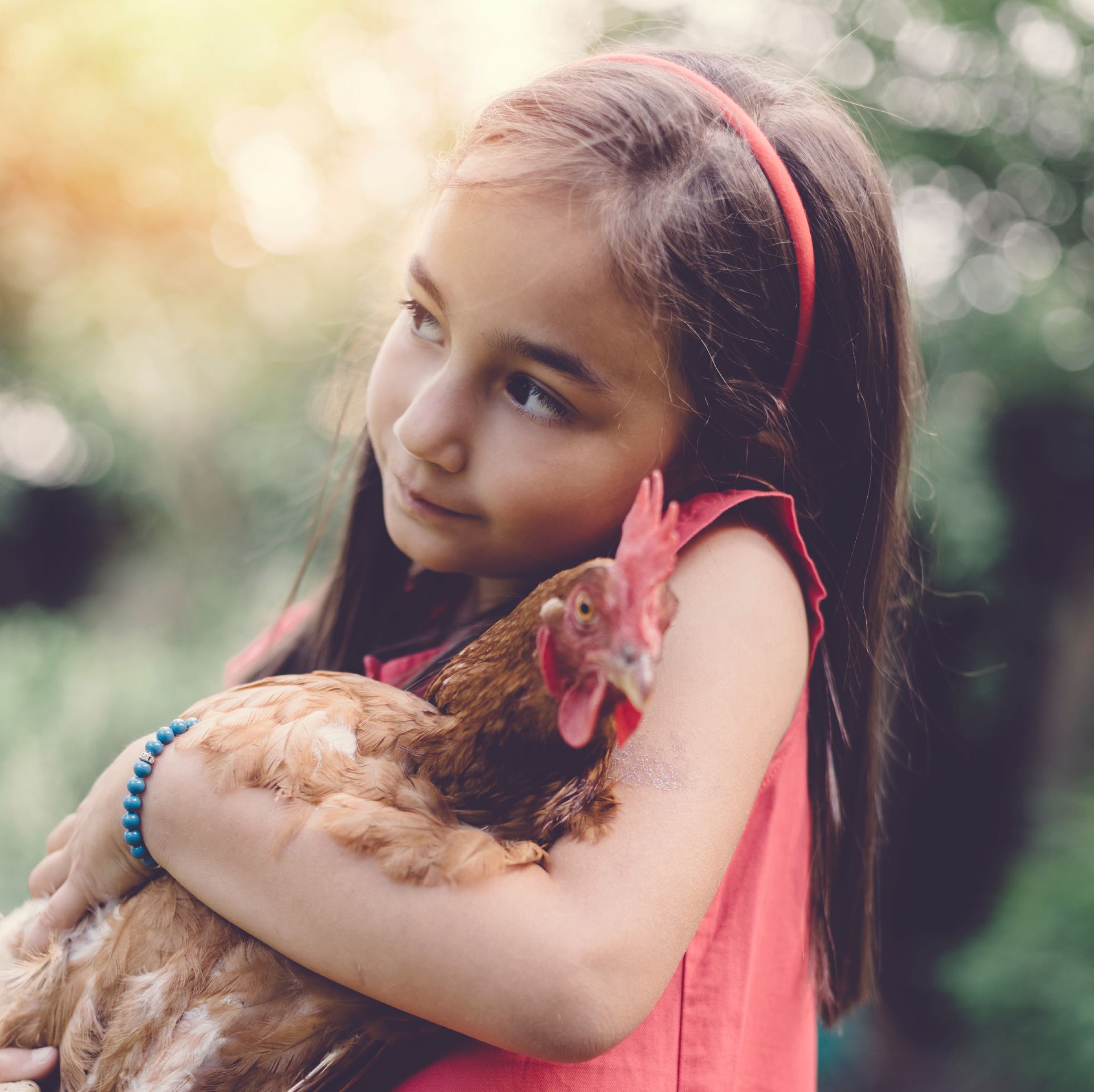 9 Videos De Gros Calins Avec Des Animaux