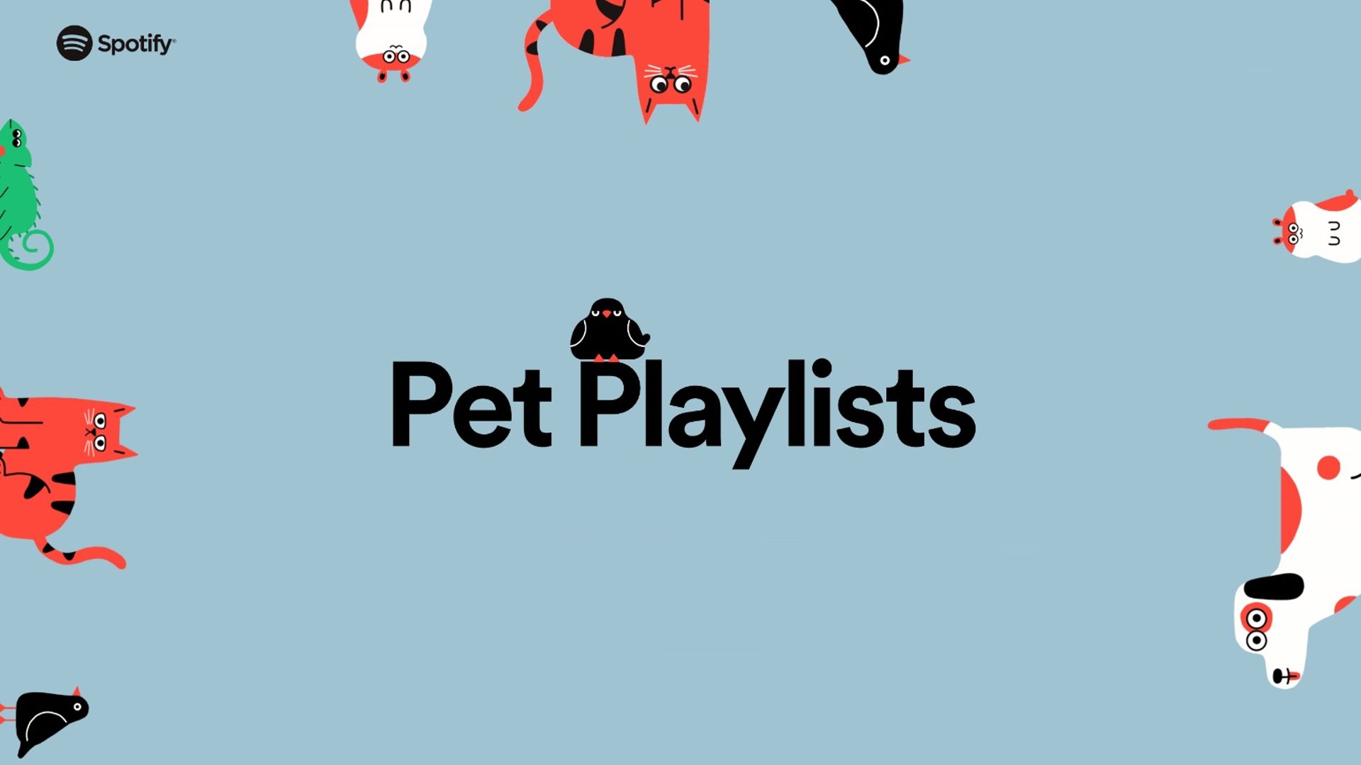 spotify lance des playlists adaptees a vos animaux de compagnie