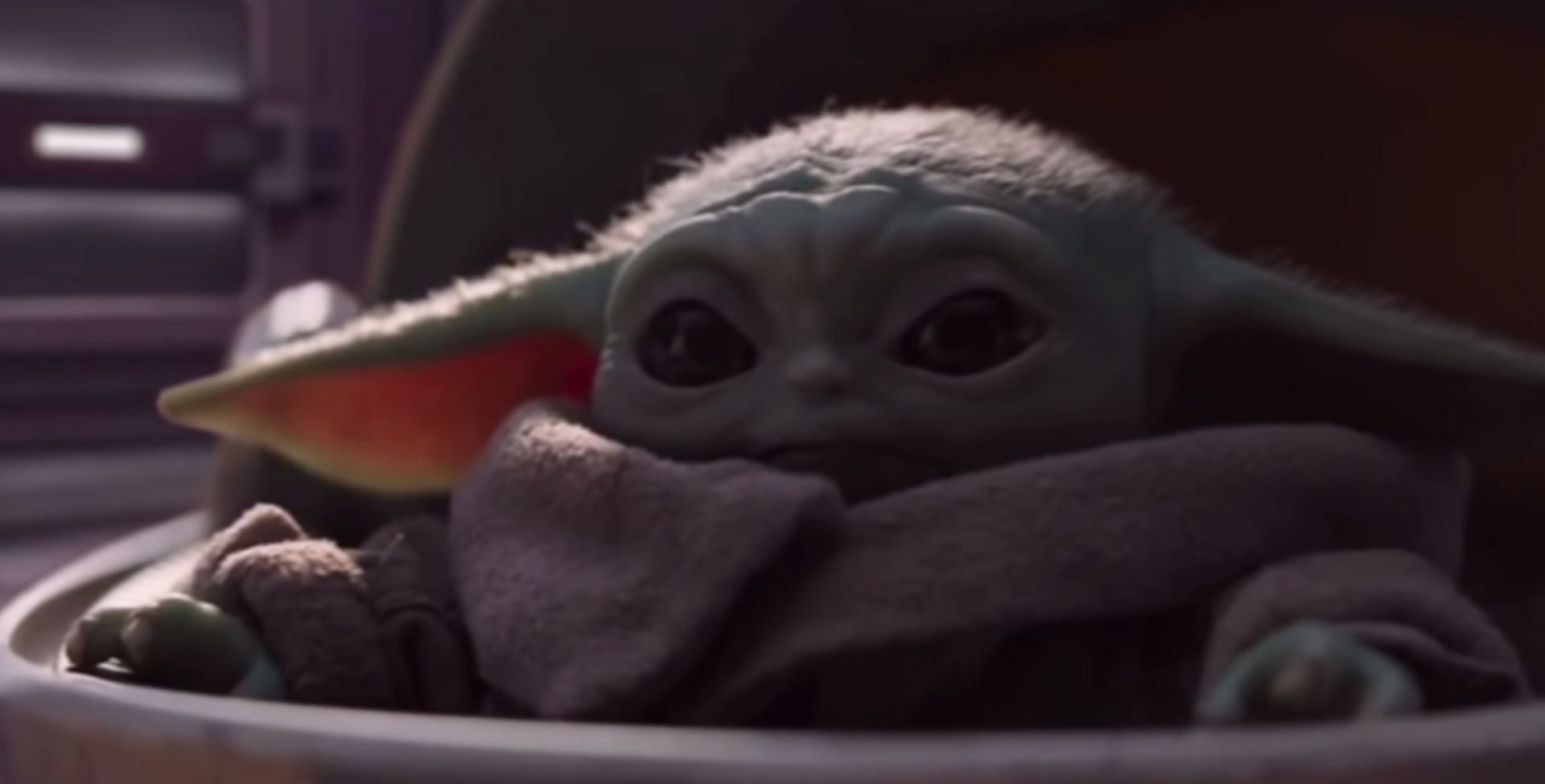 Baby Yoda Le Personnage De La Nouvelle Serie Ancree Dans L Univers Star Wars Qui Fait Disjoncter Internet