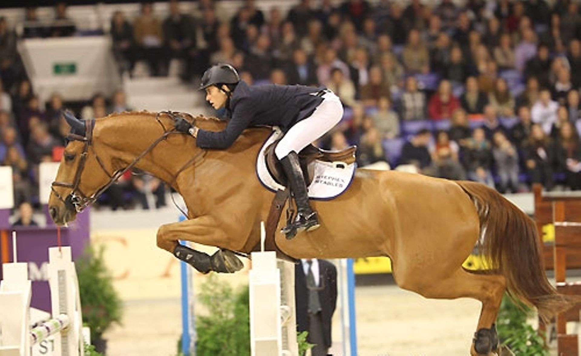 Equitation Nouveau décès d'un cheval