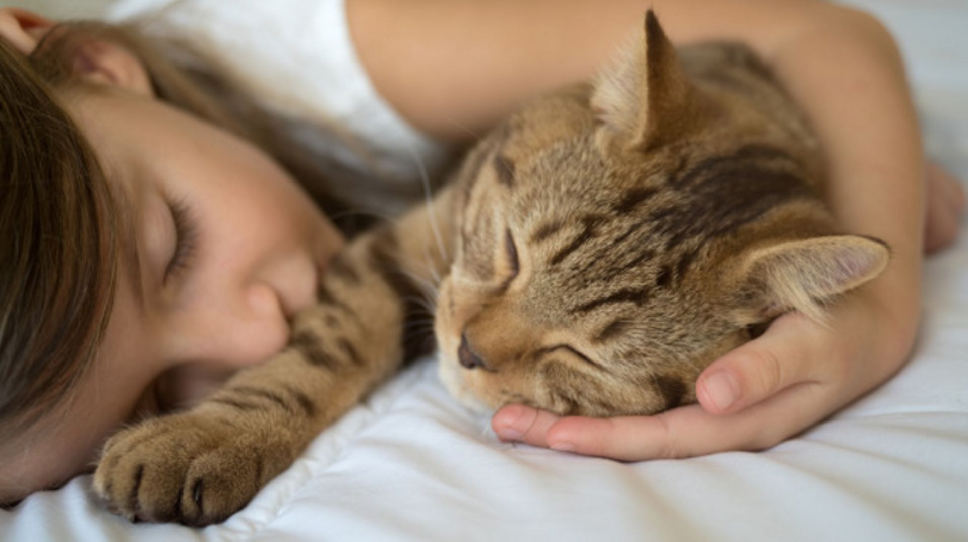 Pourquoi Donc Mon Chat Dort Il Avec Moi