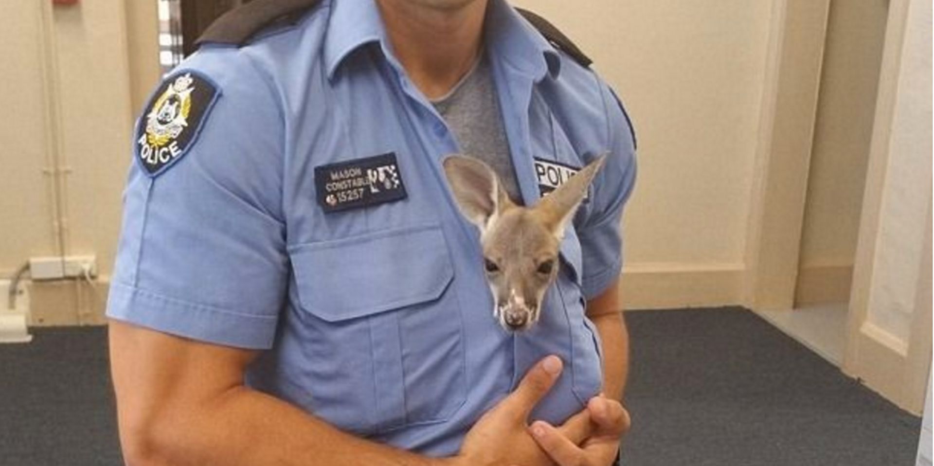 Australie Un Policier Adopte Un Bebe Kangourou