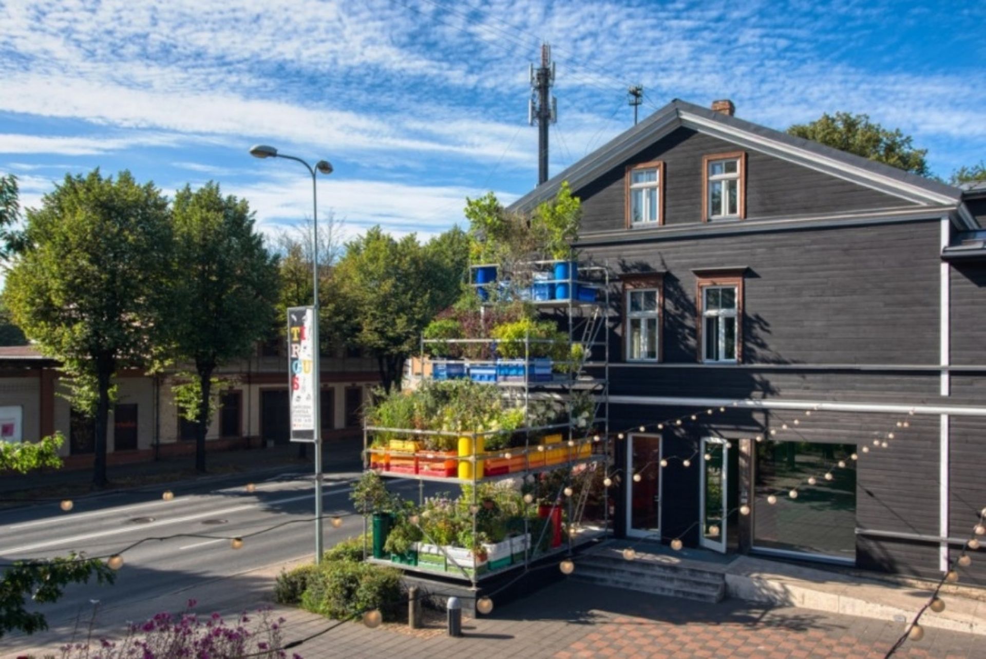 Des Jardins Verticaux Pour Mesurer L Impact D Un Environnement Urbain Sur Les Plantes