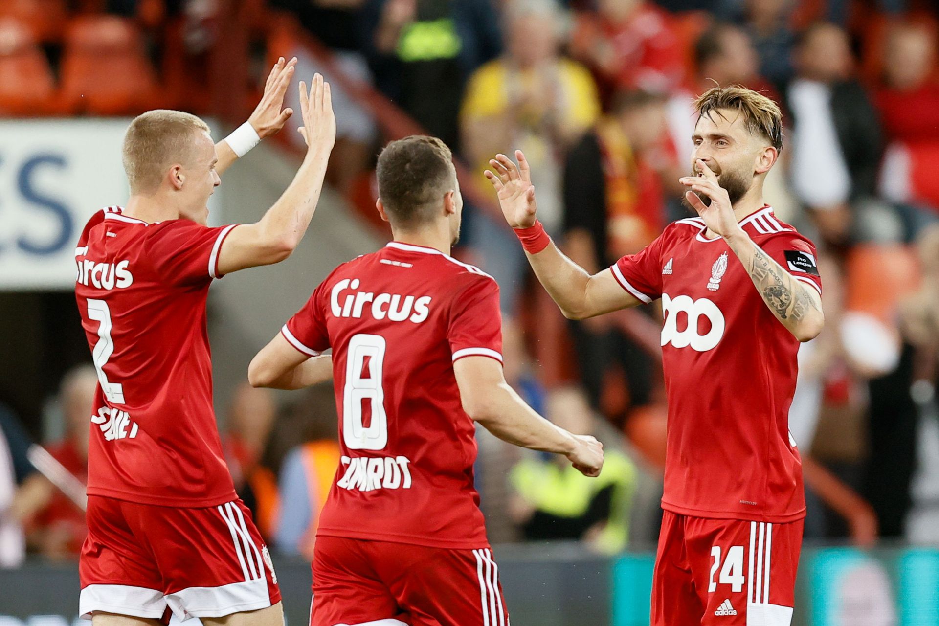 Malines standard de liege