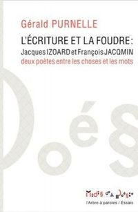 Livre "L'écriture et la foudre" de Gérald Purnelle aux éd. Garnier-Flammarion Livre "L'écriture et la foudre" de Gérald Purnelle aux éd. Garnier-Flammarion