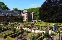 Une partie du parc, début juin Une partie du parc, début juin