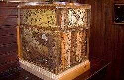 Le Musée de l'Abeille et l'Abbaye de Brialmont Le Musée de l'Abeille et l'Abbaye de Brialmont