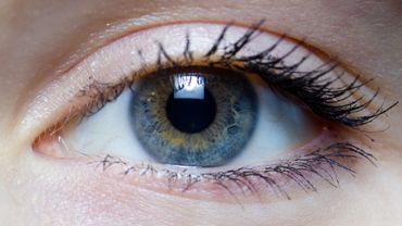 Une IA capable de deviner votre personnalité en scrutant les mouvements de vos yeux Une IA capable de deviner votre personnalité en scrutant les mouvements de vos yeux