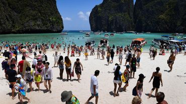 Thaïlande Retour De Petits Requins Dans La Baie De La Plage