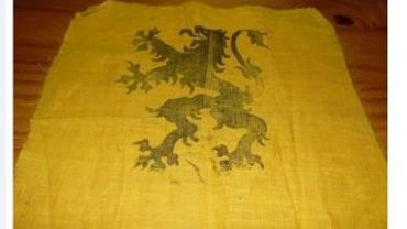 Un drapeau flamand de la collaboration à vendre? "Joli ...