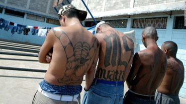 Résultat de recherche d'images pour "MS-13, l'un des gangs les plus violents des Etats-Unis"