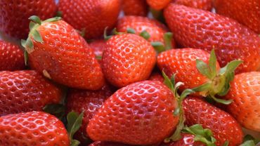 Fermeture De La Criee Des Fraises A Wepion Elles Sont En Partie