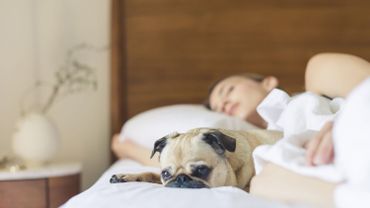 Les Femmes Qui Dorment Avec Un Chien Auraient Un Meilleur