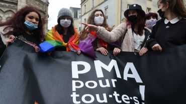 France Le Senat Rejette L Ouverture De La Pma Pour Toutes Un Projet De Loi Denature Selon Ses Partisans