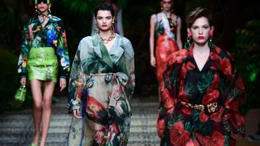 nouvelle collection dolce gabbana