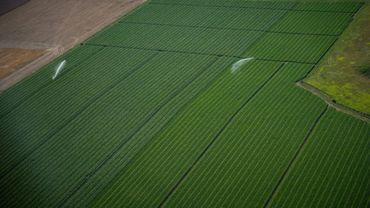 Agriculture intensive à Amboise, le 16 juillet 2017 Agriculture intensive à Amboise, le 16 juillet 2017