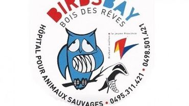 Le Birds Bay Un Refuge Pour Animaux Sauvages Au Coeur Du Bois Des Reves A Ottignies