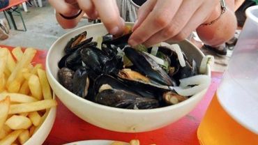 Un plat de moules avec des frites dans un restaurant de Lille, le 3 septembre 2011