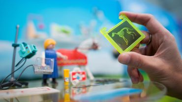piece playmobil