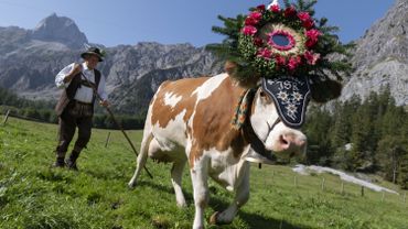 En Autriche Les Alpages Typiques Du Tyrol Risquent De Disparaitre