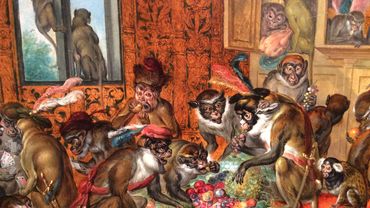 L Odyssee Des Animaux