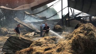 Canicule Les Pompiers Carolos Sont Débordés - 