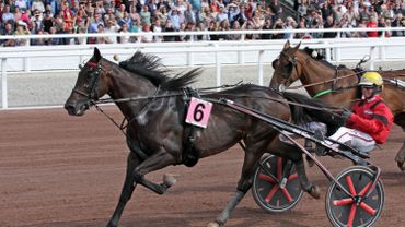 vente de trotteur réformé