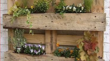 Recuperation De Palettes