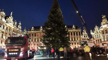 Le Traditionnel Sapin De Noel Ornera La Grand Place De Bruxelles Des Jeudi