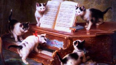 Les Chats Et La Musique Classique Une Affaire Qui Ronronne